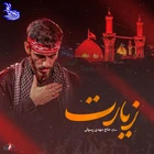 Ziyaret
