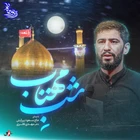 Ay ışıklı gece
