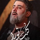 Sen bir nurdun