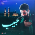 Dost