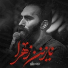 Mehrdad Maleki